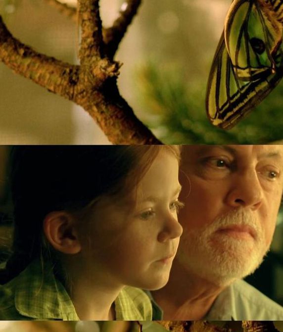 蝴蝶影视高清版