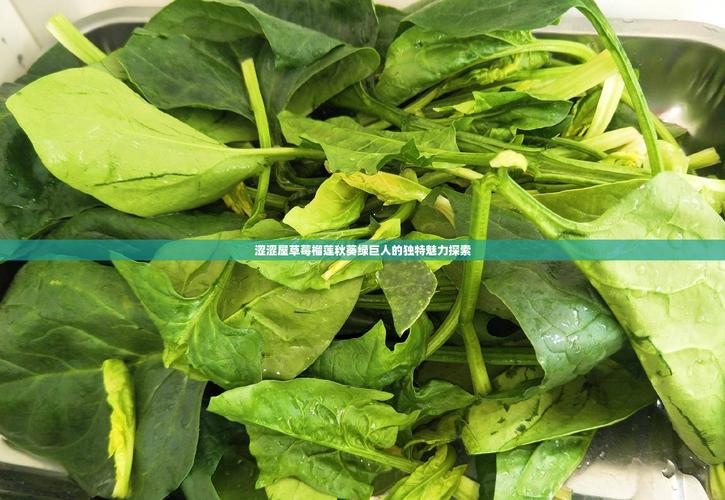 樱桃榴莲秋葵绿巨人