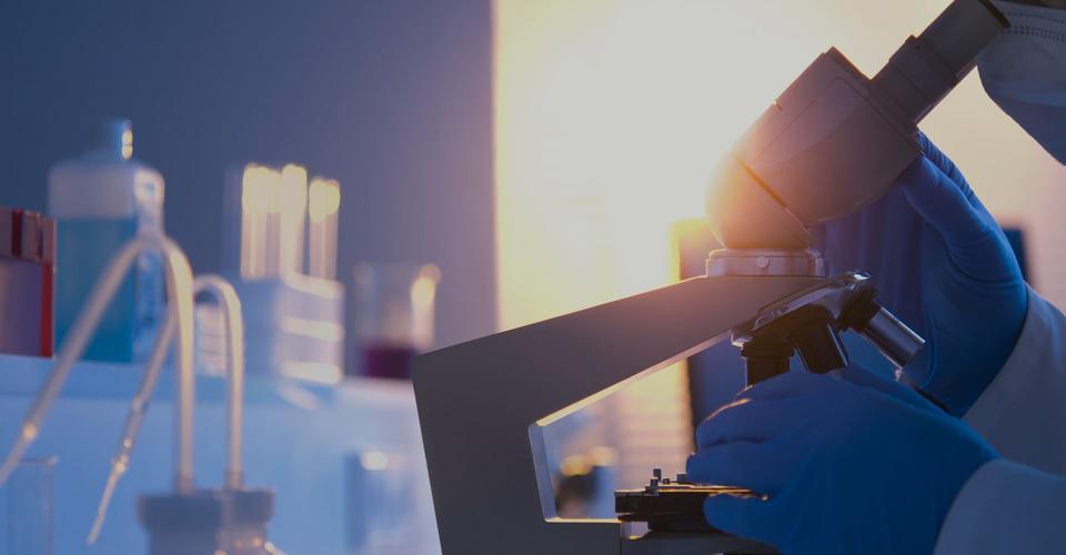 &radic;天堂中文在线bt种子最新版