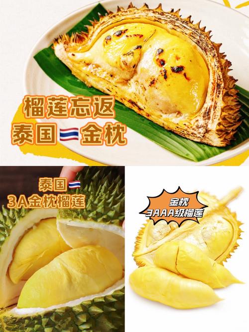 xrk1_3_0ark榴莲无限观看