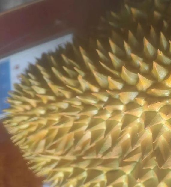 xrk1_3_0ark榴莲无限观看