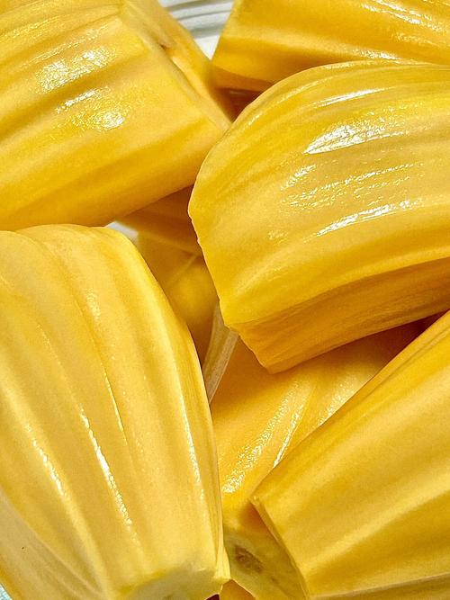 菠萝蜜视频观看无限制版