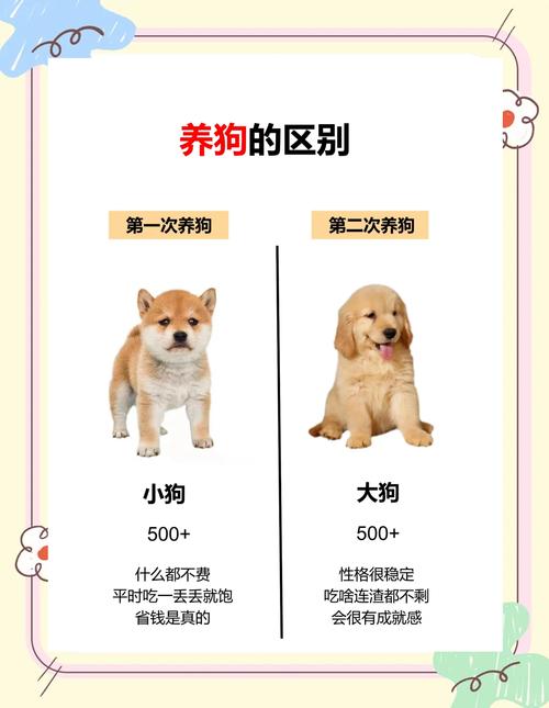 大狗vslilray在线