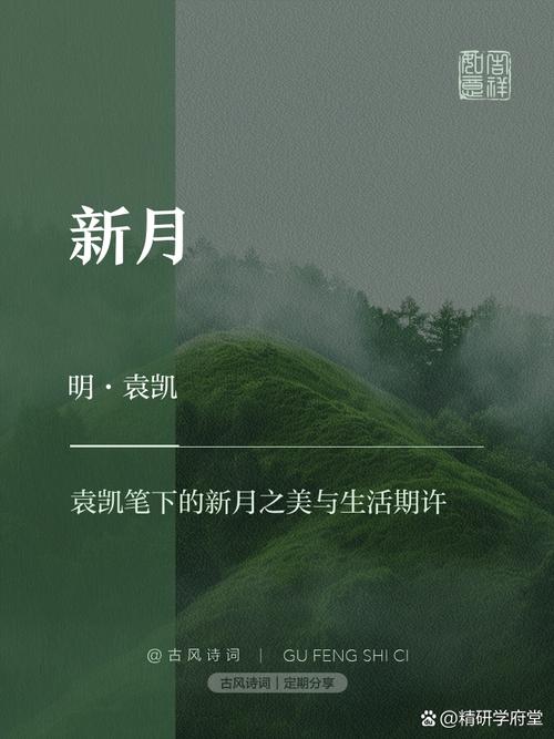 新月影音 最近国语