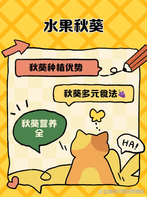 秋葵草莓丝瓜黄瓜榴莲污统计