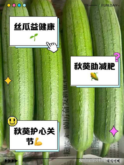 绿巨人秋葵 茄子 丝瓜 绿巨人污