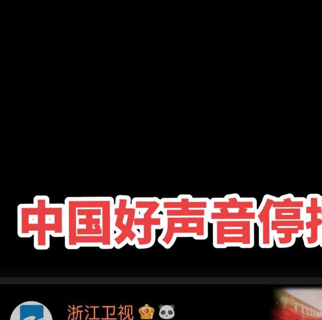 中国好声音直播时间