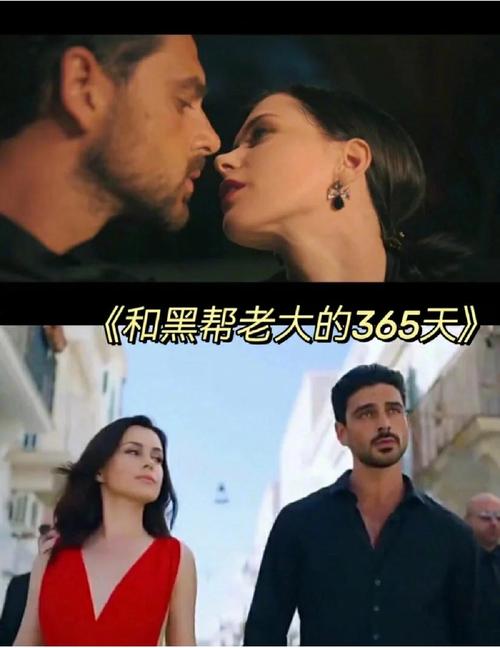大佬和我在一起的365天