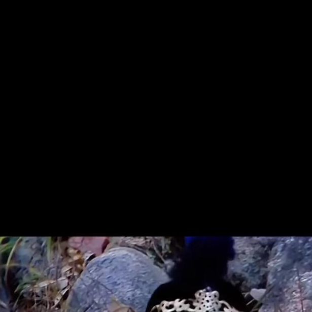 八戒八戒影视剧免费大全