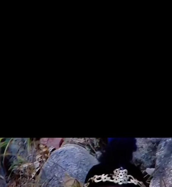 八戒,八戒电影在线看免费高清国语