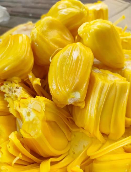 菠萝蜜视频在线菠萝蜜视频观看