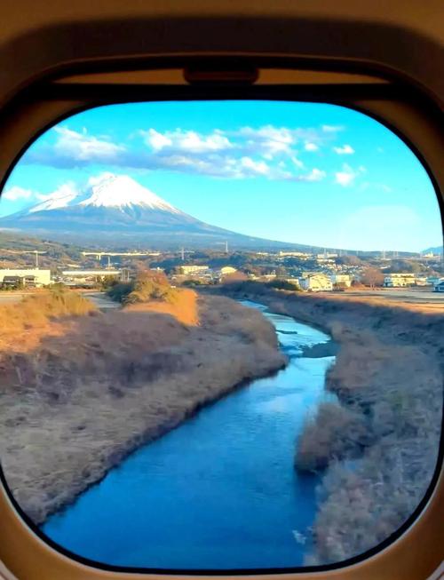 新干线live直播下载