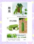 丝瓜草莓向日葵芭乐黄瓜小猪鸭脖绿巨人