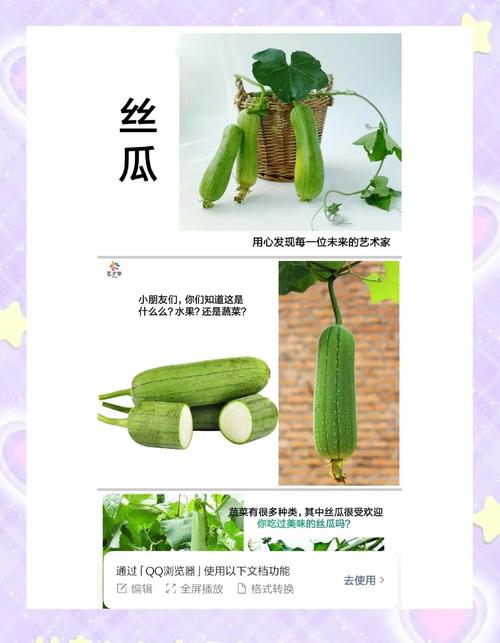 丝瓜草莓向日葵芭乐黄瓜小猪鸭脖绿巨人