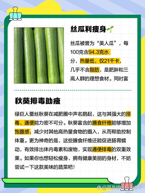 秋葵丝瓜绿巨人番茄黄