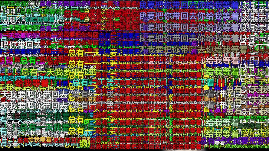 弹幕主义会员版