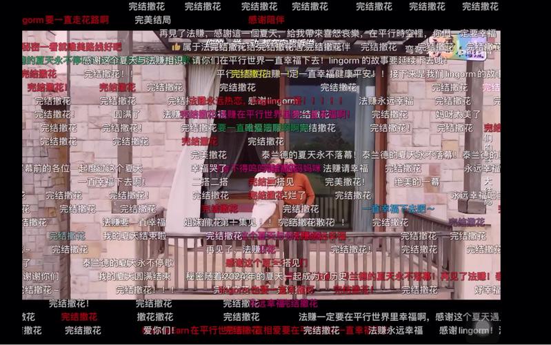 弹幕主义会员版