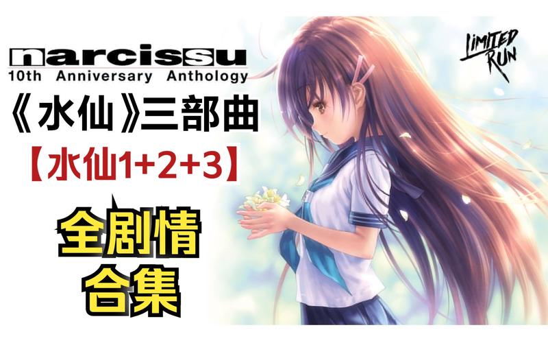 东北水仙二傁bd视频