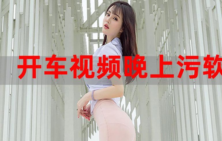 开车视频疼痛有声音免费软件pa