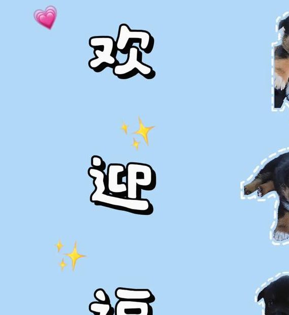 小奶狗app福引导