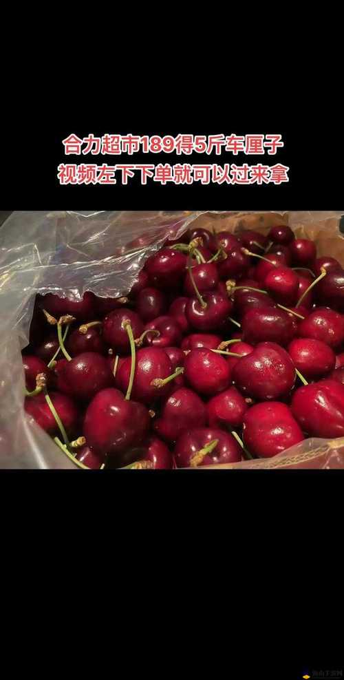 樱桃入口在线观看