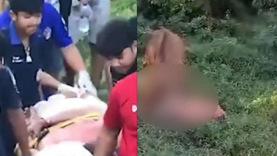 被一群男人蹂躏在线观看视频