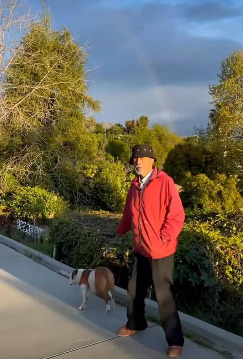 美国特黄特色大片免费视频