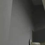 幸福宝丝瓜向日葵