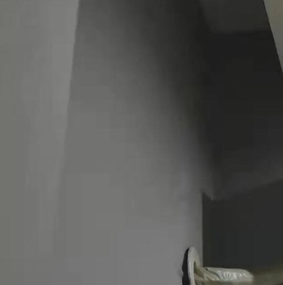 幸福宝丝瓜向日葵