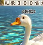鹅鹅鹅儿歌视频