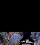 八戒八戒视频免费版