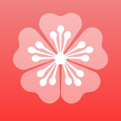 梅花视频app免费