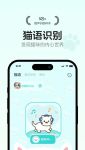 猫咪最新app