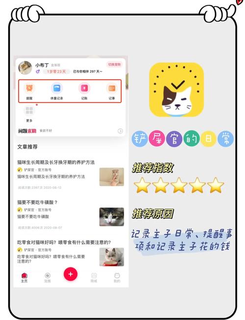 猫咪最新app