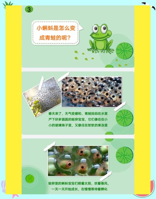 小蝌蚪香蕉黄瓜丝瓜绿巨