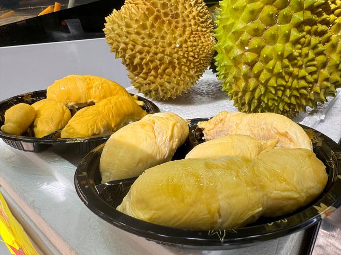 免费榴莲视频让你榴莲忘返