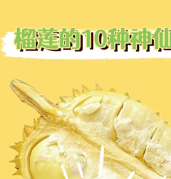 免费榴莲视频让你榴莲忘返