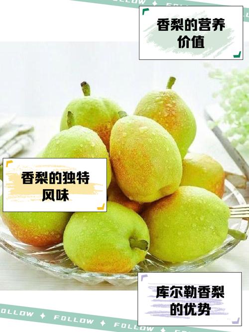 香梨视频app地址