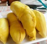 榴莲视频让你流连忘返2.0无限资源