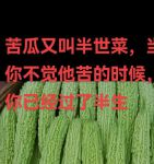 苦瓜色在线观看