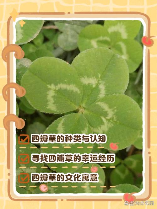 四叶草实验研究所免费观看