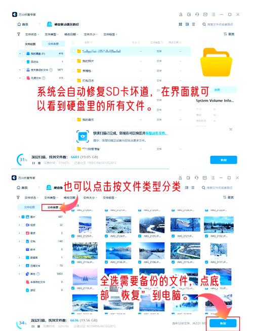 精品一卡2卡三卡4卡乱码理论免费最新版