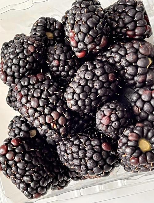 黑莓视频在线看