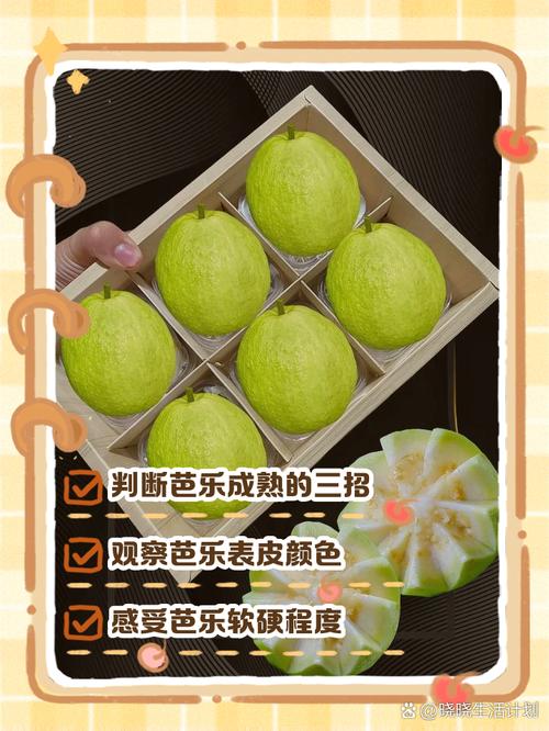 芭乐app秋葵茄汁芒果免费版