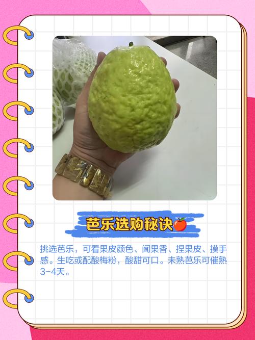 芭乐app秋葵茄汁芒果免费版