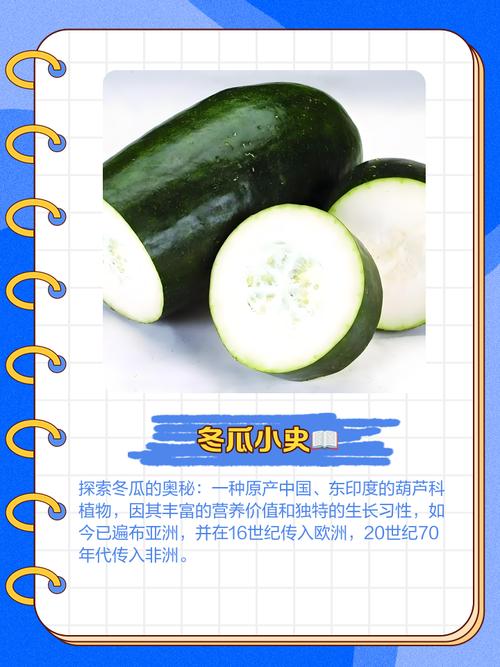 冬瓜视频1.0.1安卓版