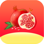 石榴视频app进入窗口官方网站