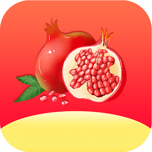 石榴视频app进入窗口官方网站