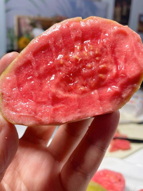 草莓芭乐汅api免费