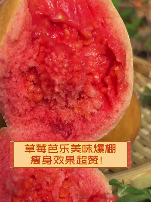 草莓芭乐汅api免费